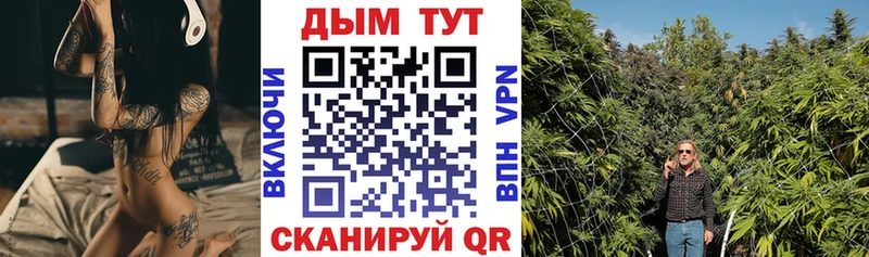 Цена Нерчинск Гашиш  Псилоцибиновые грибы  МЕФ 